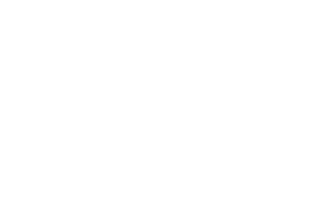 Phoenix Express